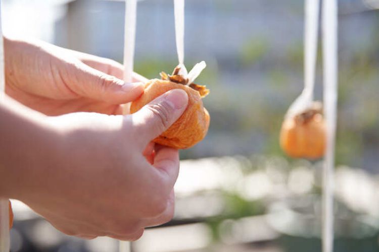 treo hồng trong gió treo hồng trong gió